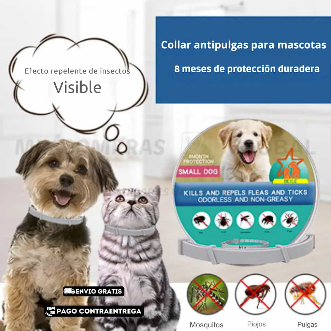 CEROPULGAS Y GARRAPATAS. 🌿FUNCIONÓ DE FORMA POTENTE EN UN PASTOR ALEMAN 🐕🦺