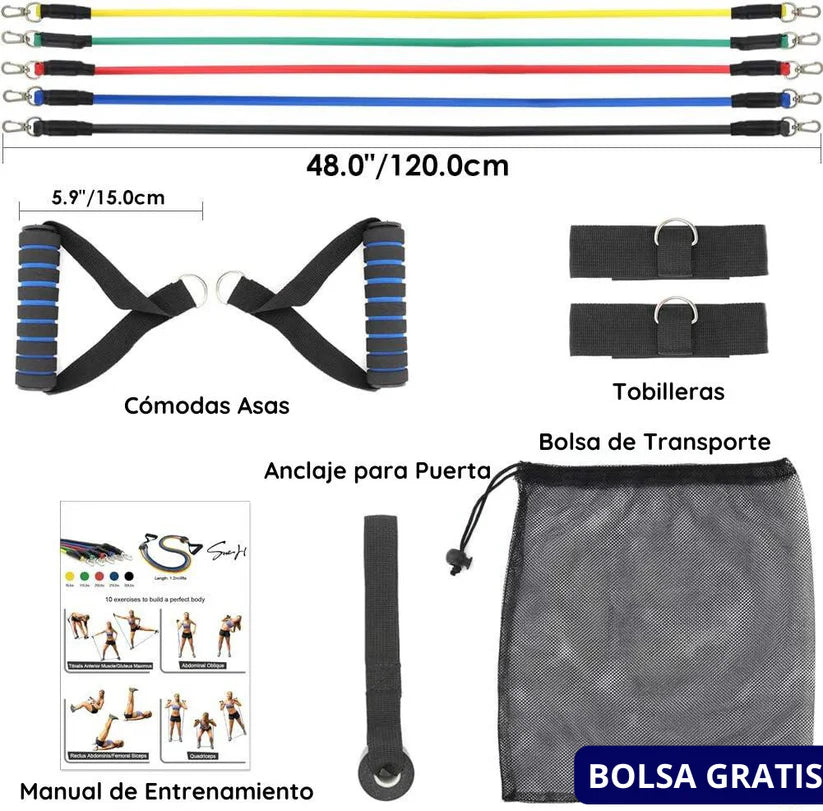 ProFlex Fit 2024 - Kit De Bandas De Resistencia por 11 piezas. Incluye el bolso🔥