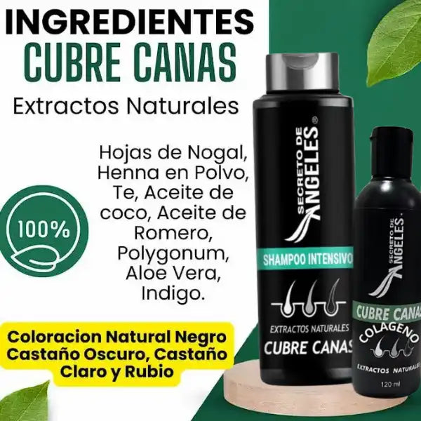 Original Shampoo Cubre Canas Secreto de Ángeles➕Colageno y Exfoliante GRATIS🎁