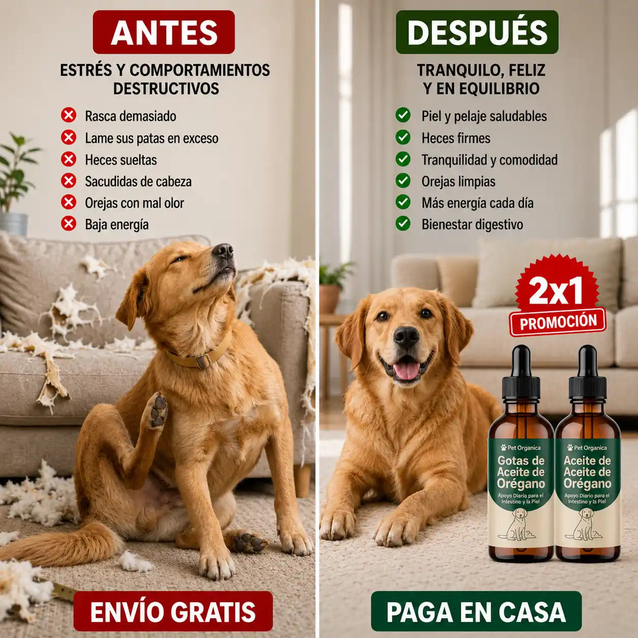 Gotas de Aceite de Orégano. NO más Arrastre, Lamido y Estres
