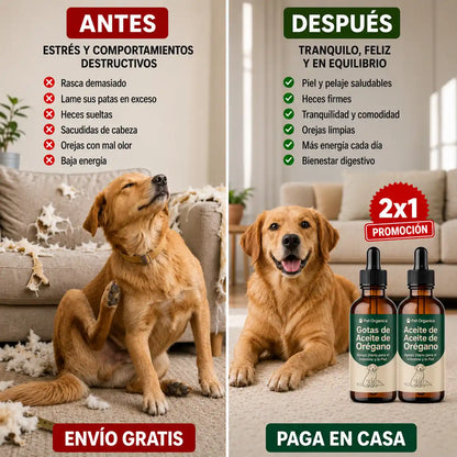 Gotas de Aceite de Orégano. NO más Arrastre, Lamido y Estres