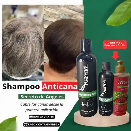 3 x 1 Shampoo Cubre Canas Secreto de Ángeles➕COLAGENO y EXFOLIANTE GRATIS🎁