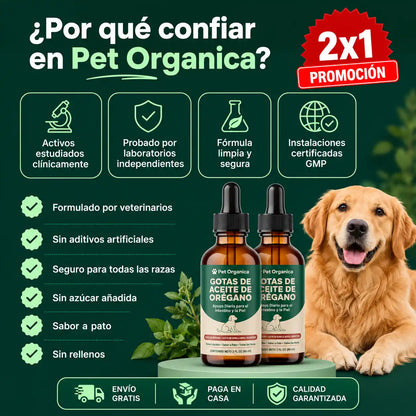 Gotas de Aceite de Orégano. NO más Arrastre, Lamido y Estres