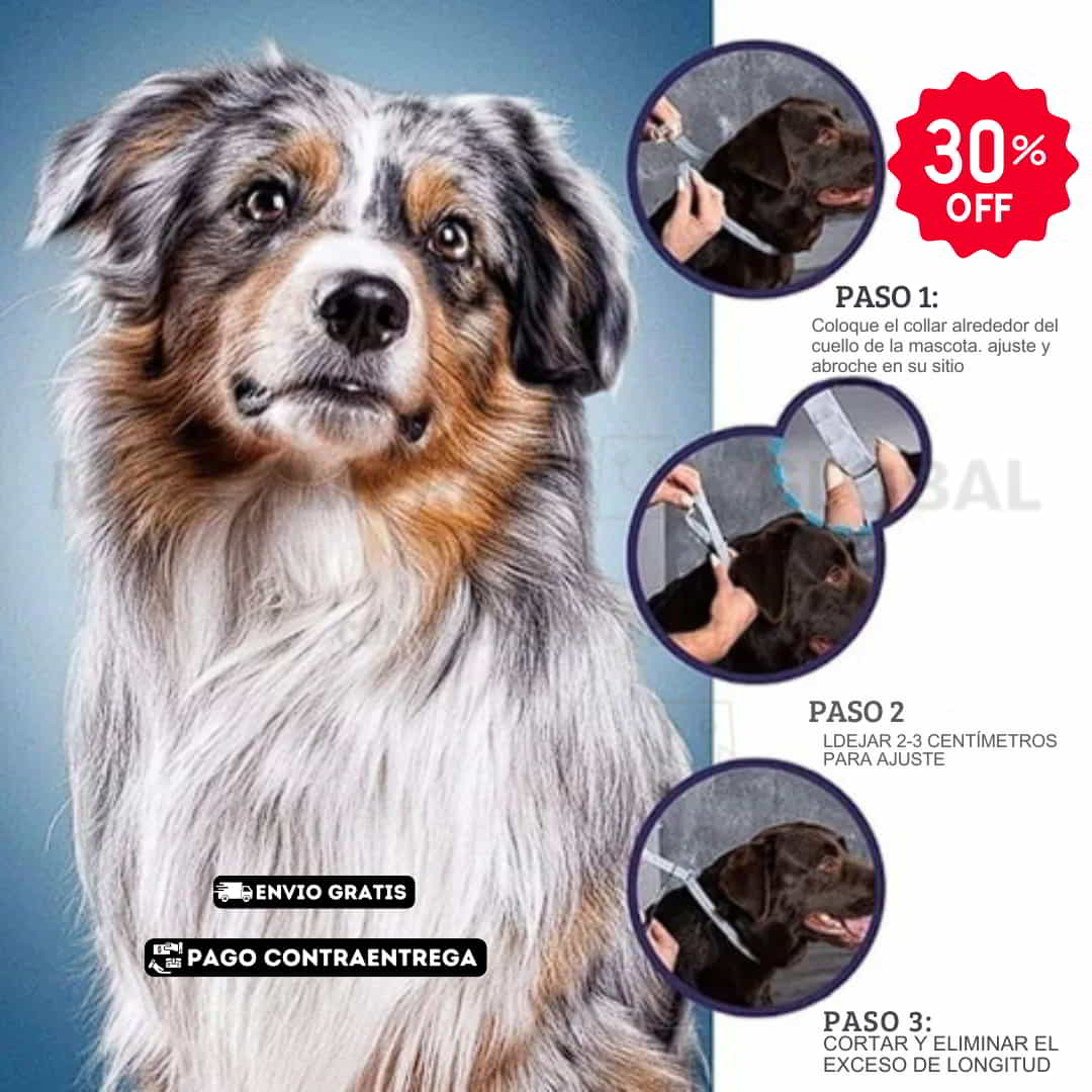 ECOPAWGUARD COLLAR ANTI PULGAS Y GARRAPATAS. FUNCIONO PERFECTAMENTE EN UN PASTOR ALEMAN 🐕‍🦺