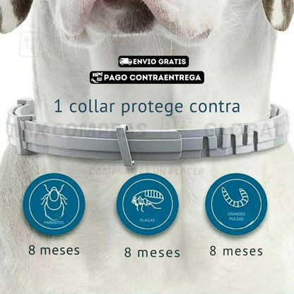 ECOPAWGUARD COLLAR ANTI PULGAS Y GARRAPATAS. FUNCIONO PERFECTAMENTE EN UN PASTOR ALEMAN 🐕‍🦺