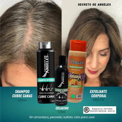 Original Shampoo Cubre Canas Secreto de Ángeles➕Colageno y Exfoliante GRATIS🎁