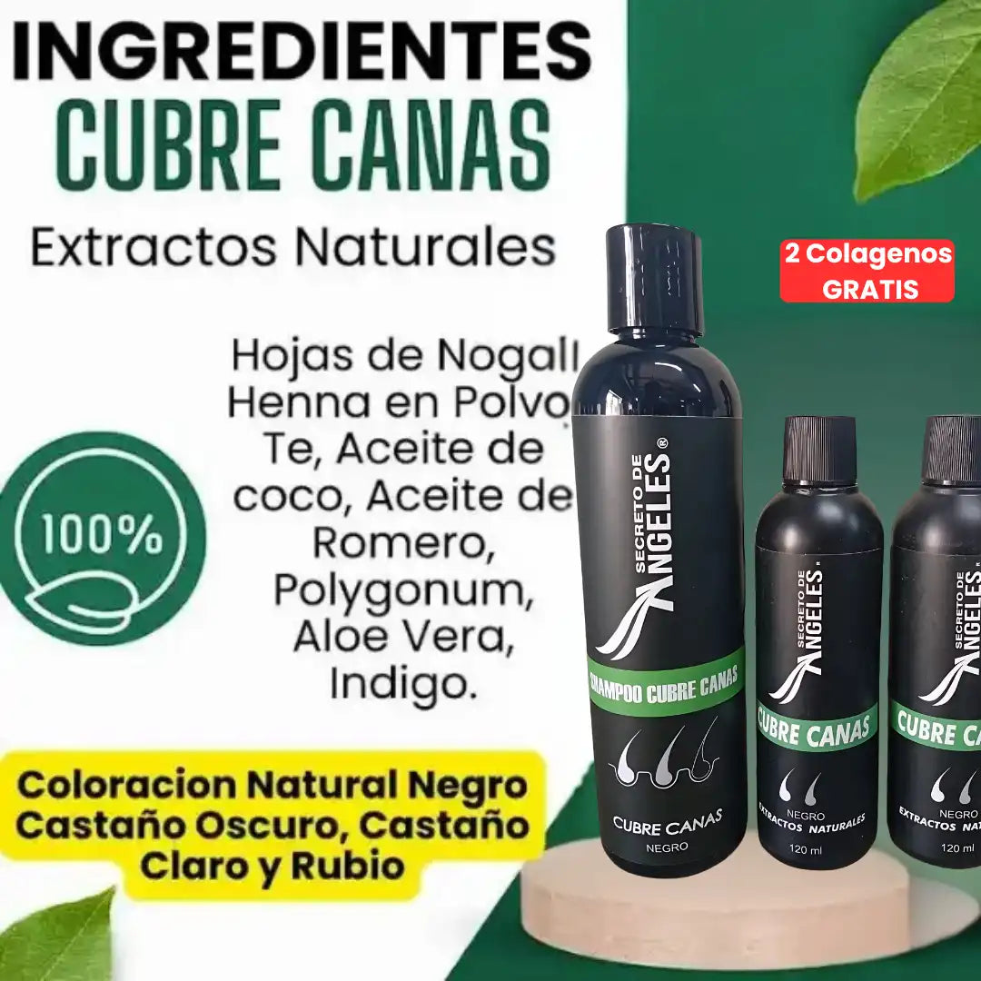 Original Shampoo Cubre Canas Secreto de Ángeles➕2 Colagenos GRATIS🎁