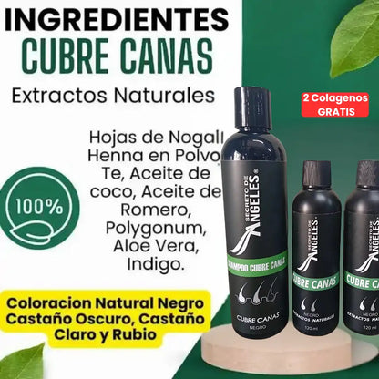 Original Shampoo Cubre Canas Secreto de Ángeles➕2 Colagenos GRATIS🎁