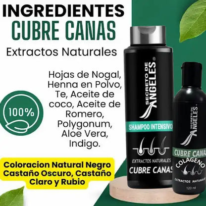 Original Shampoo Cubre Canas Secreto de Ángeles➕Colageno y Exfoliante GRATIS🎁