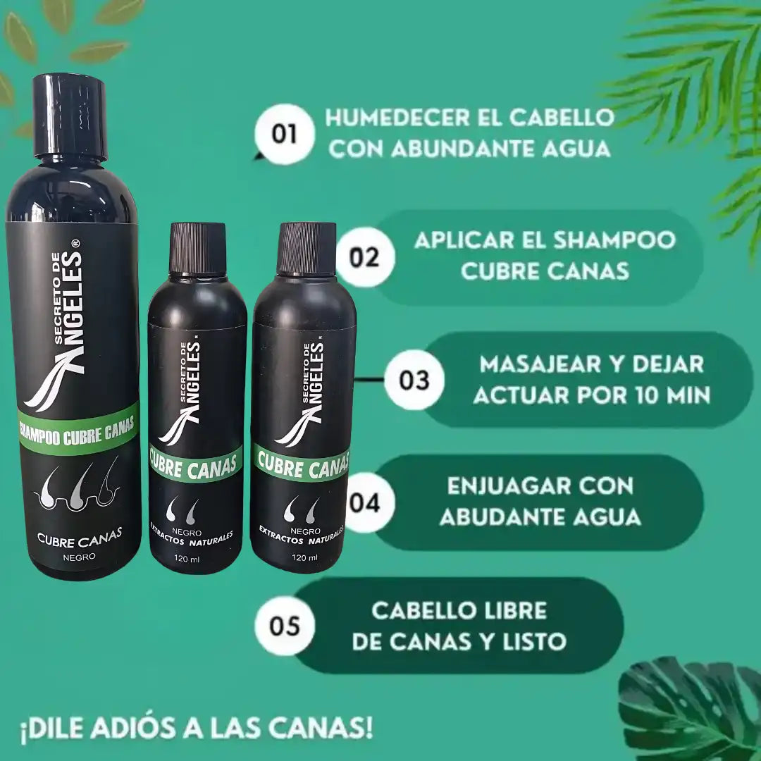 Original Shampoo Cubre Canas Secreto de Ángeles➕2 COLAGENOS GRATIS🎁