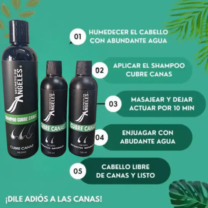 Original Shampoo Cubre Canas Secreto de Ángeles➕2 COLAGENOS GRATIS🎁