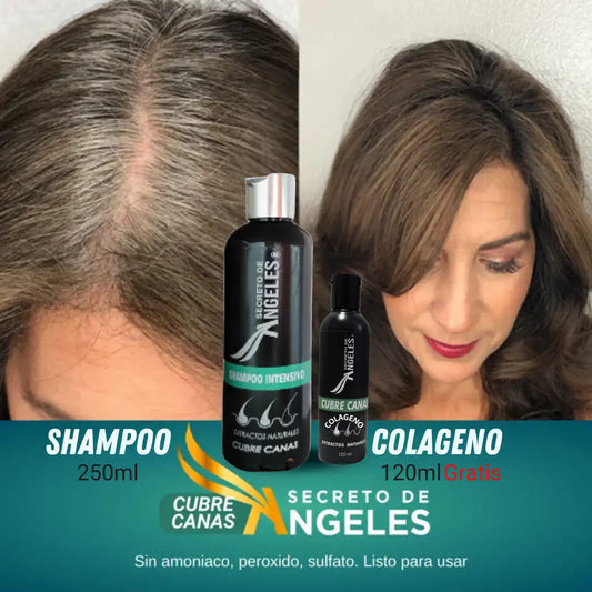 Shampoo Cubre Canas Secreto de Ángeles➕Colageno GRATIS🎁