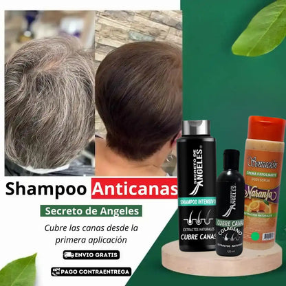Original Shampoo Cubre Canas Secreto de Ángeles➕Colageno y Exfoliante GRATIS🎁