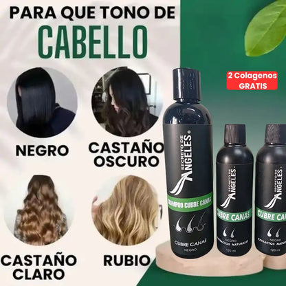 Original Shampoo Cubre Canas Secreto de Ángeles➕2 Colagenos GRATIS🎁