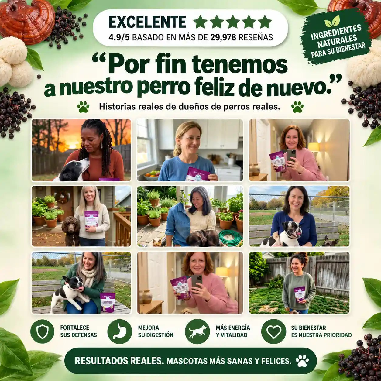 CanisMune™️Fórmula Natural de Hongos para Perros, Apoya el Sistema Inmunológico y el Bienestar de Piel y Pelaje