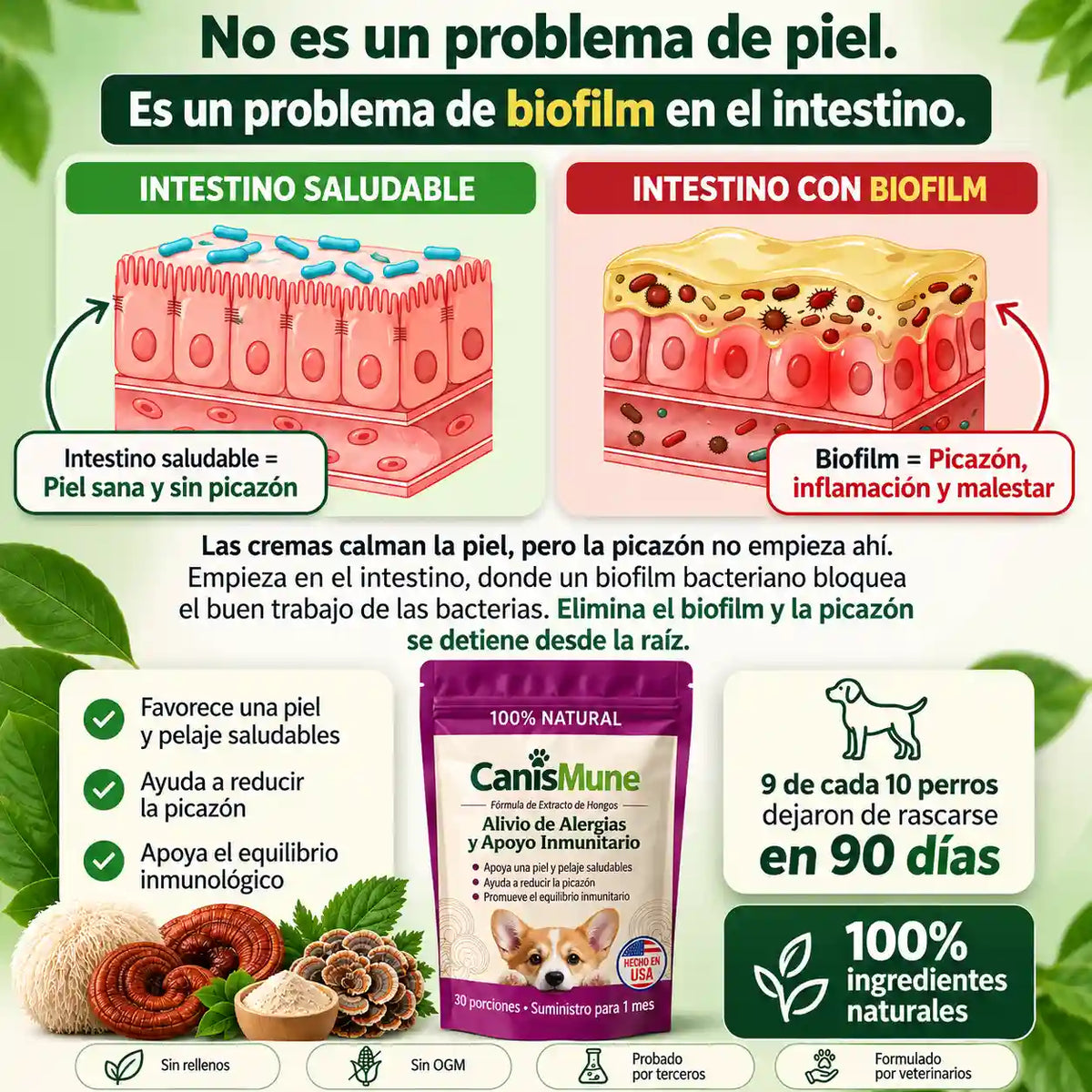 CanisMune™️Fórmula Natural de Hongos para Perros, Apoya el Sistema Inmunológico y el Bienestar de Piel y Pelaje