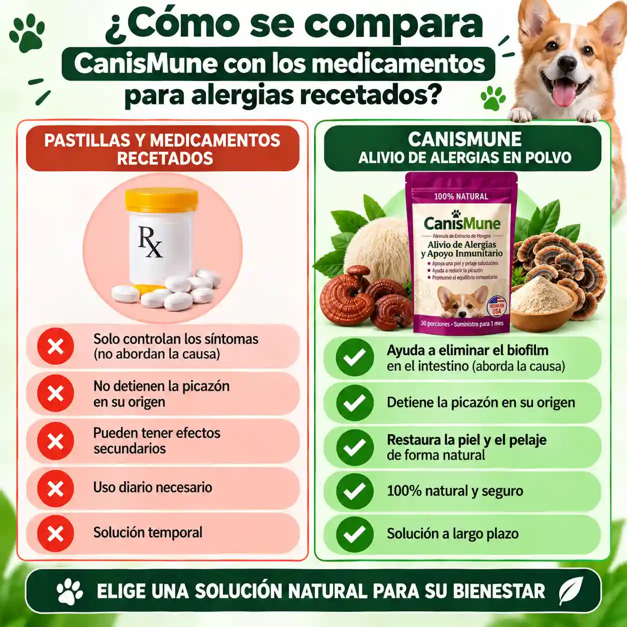 CanisMune™️Fórmula Natural de Hongos para Perros, Apoya el Sistema Inmunológico y el Bienestar de Piel y Pelaje